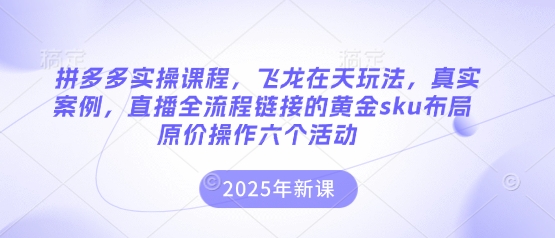 拼多多实操课程,飞龙在天玩法,真实案例,直播全流程链接的黄金sku布局原价操作六个活动-亮剑学堂