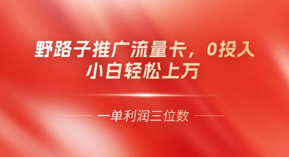 0门槛推广流量卡，一单收益上百，0投入，小白月入过W-亮剑学堂